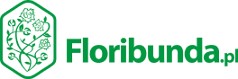 Floribunda - Hodowle róż ogrodowych