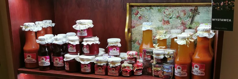 RÓŻE Z GOŁYM KORZENIEM / DOSTAWA PO 15 MARCA