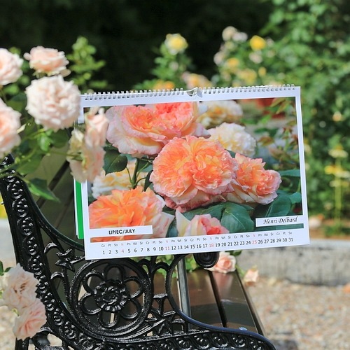 KALENDARZ na 2021 rok