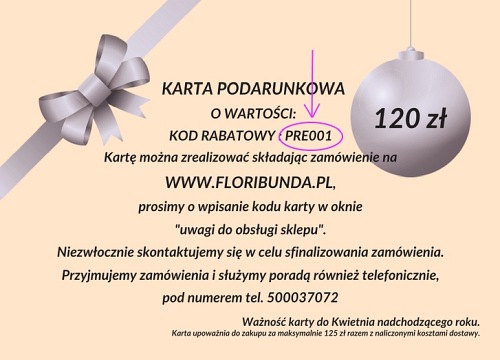Karta podarunkowa 120 zł