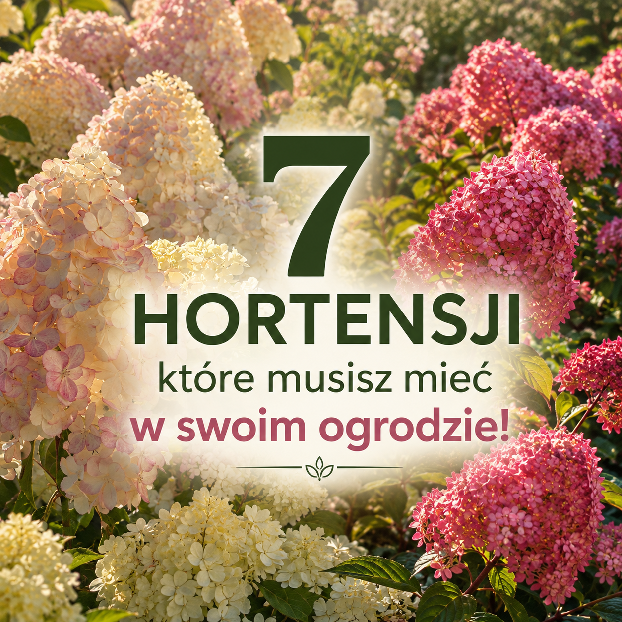 7 hortensji, które musisz posadzić w swoim ogrodzie
