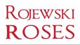 Rojewski