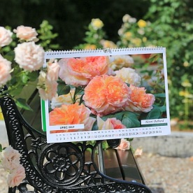 KALENDARZ na 2021 rok