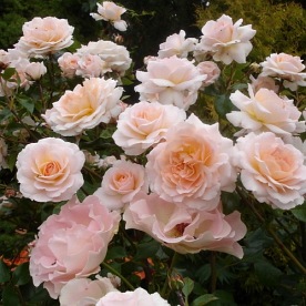 Schloss Eutin  (KORbrespo)